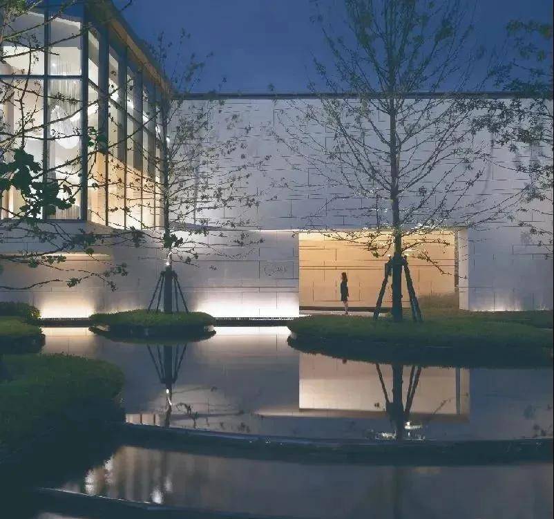 山西焦煤冯清最新消息与温馨日常观察