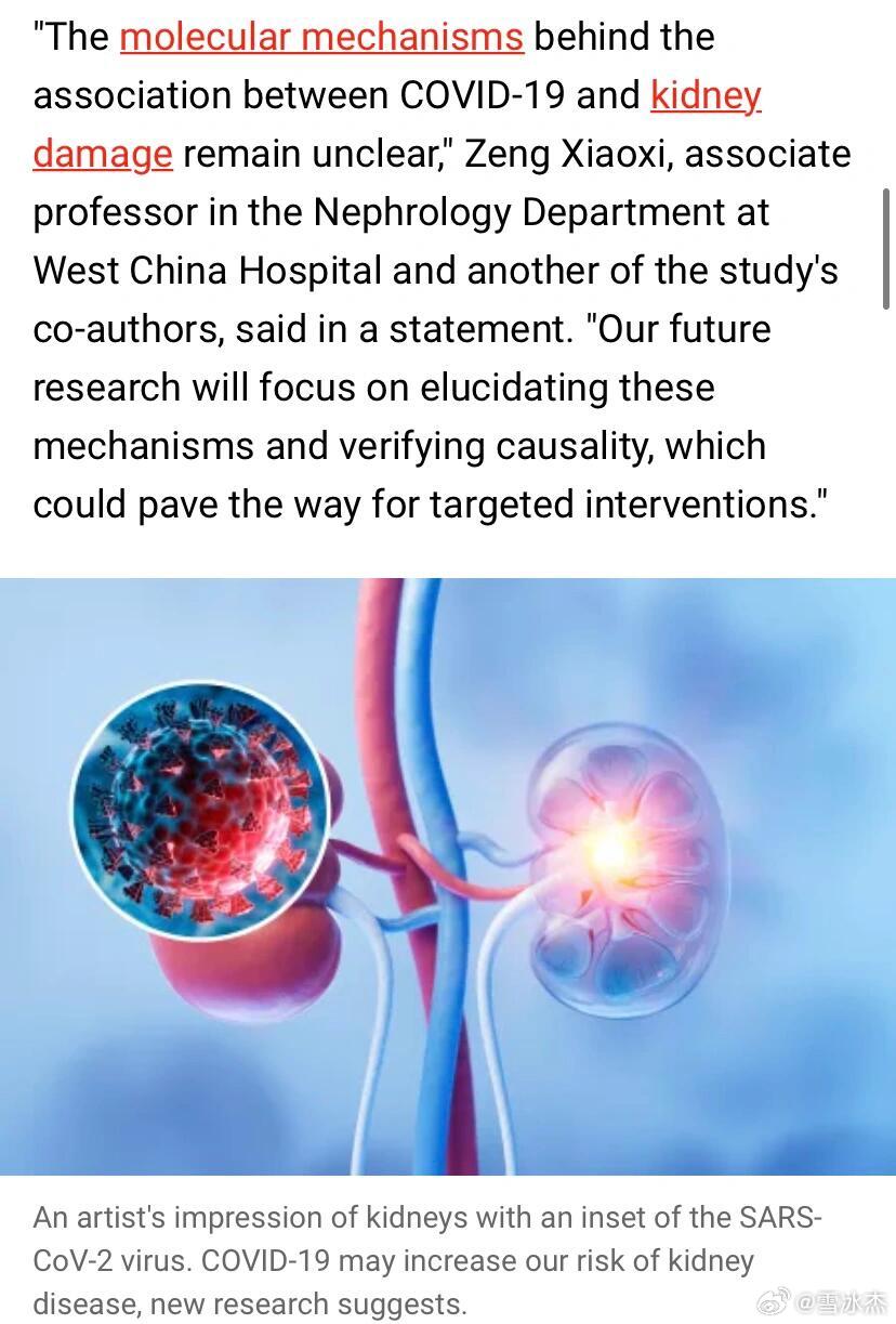尿毒症克隆肾最新技术，重塑生命的希望之光，开启新篇章