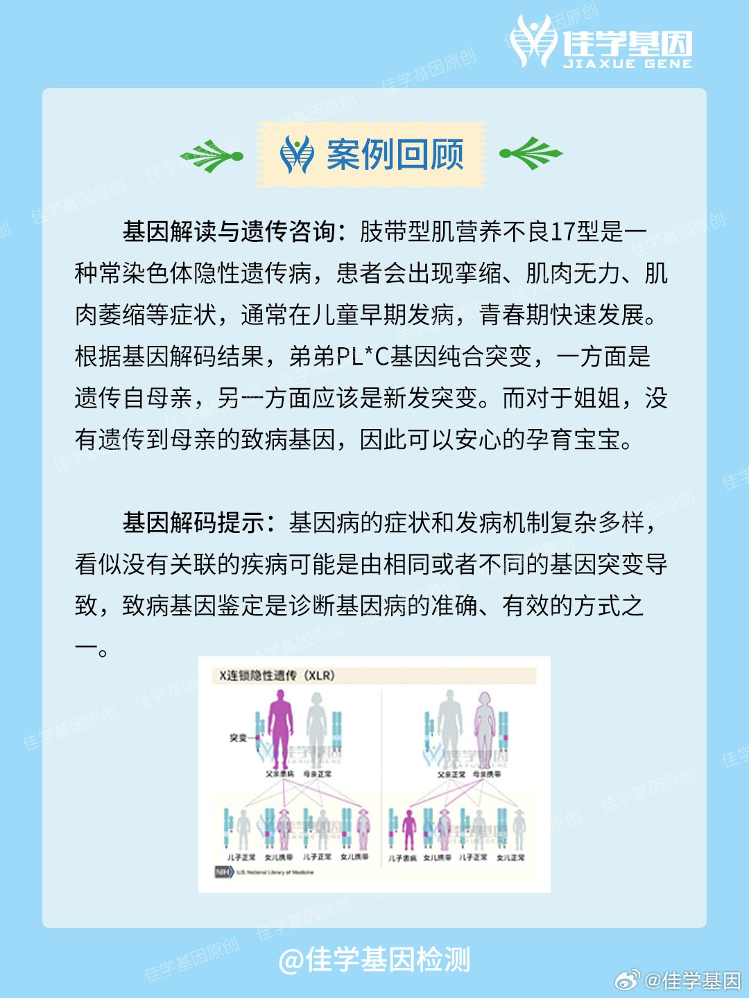 肌营养不良最新治疗方法探索之旅，自然美景下的医学突破之旅