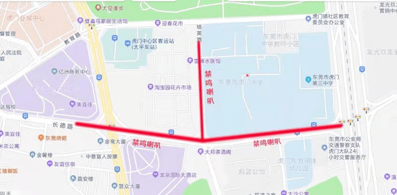 虎门立市2025最新动态，自信与无限可能的变革