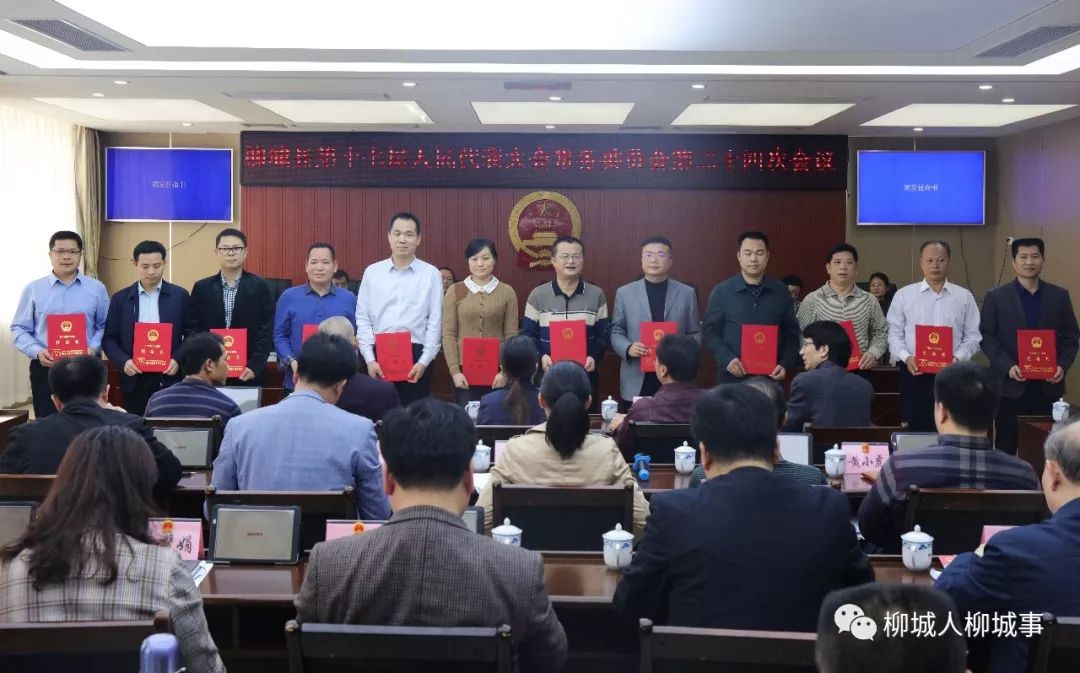 乐昌温桂华最新动态，学习进步，自信塑造未来