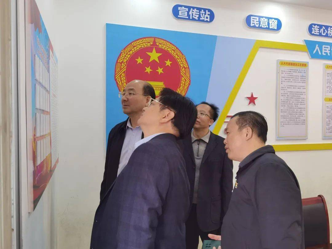 武宣县最新官员任免解读与分析