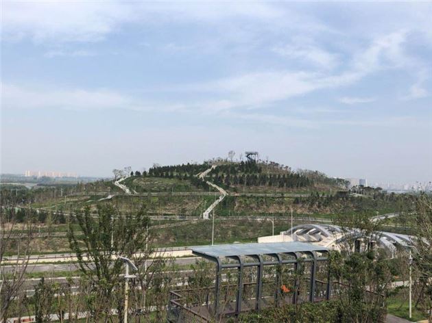 郑州森林公园最新动态及游玩指南详解