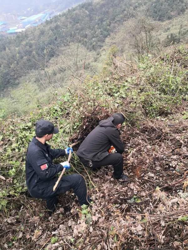 衡阳县关市镇最新新闻，学习变化的力量，铸就自信与成就之旅