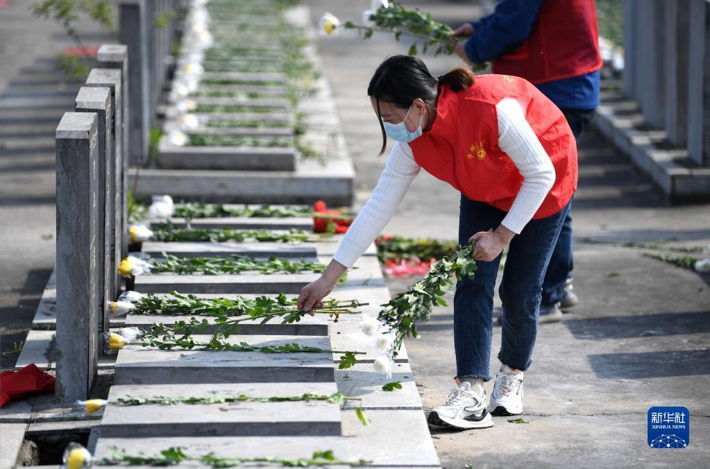 肥西县花岗镇最新动态概览