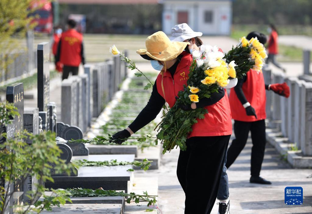 肥西县花岗镇最新动态概览