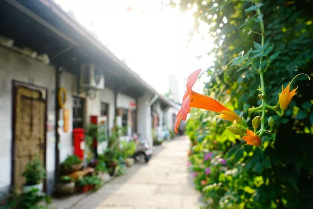 白钢旗杆 第96页
