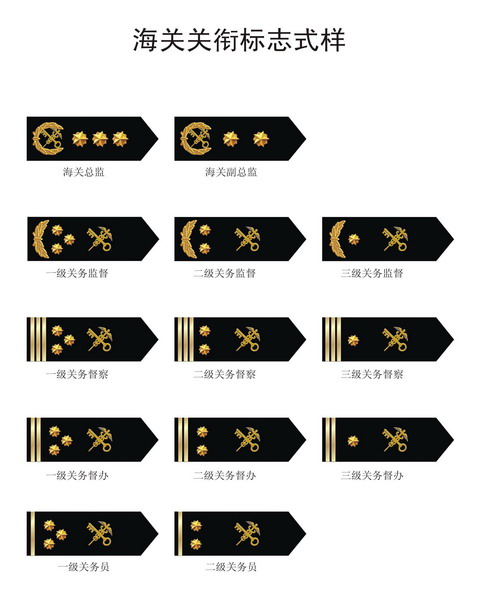 海关关衔补贴最新文件解读，利好消息，你的补贴金额一览无余！