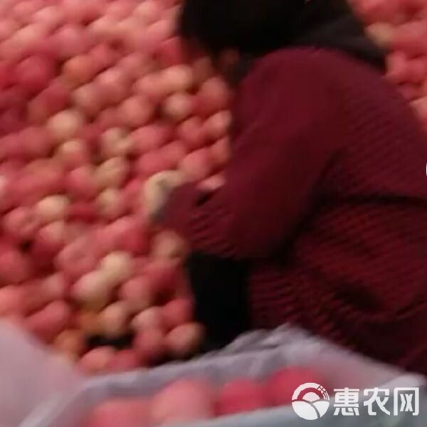 白钢旗杆 第95页
