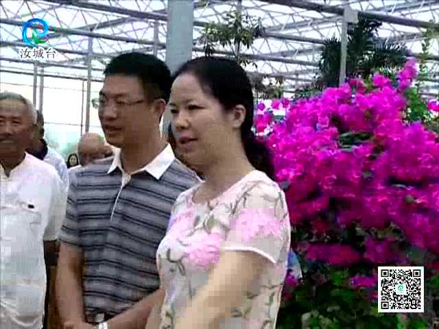汝城陈树娇最新动态，小巷深处的独特风味