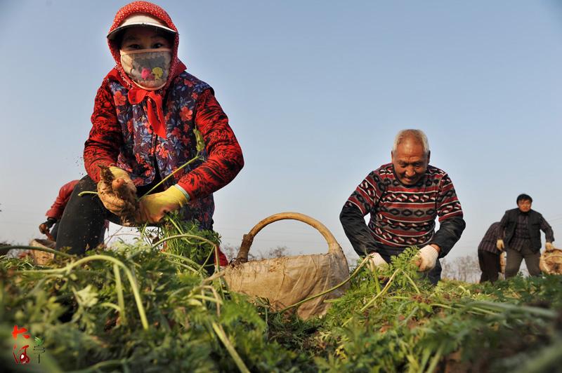 郑州黄河滩地最新出租，科技助力，接轨未来生活