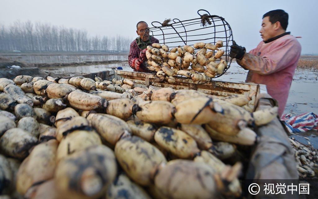 郑州黄河滩地最新出租,科技助力,接轨未来生活