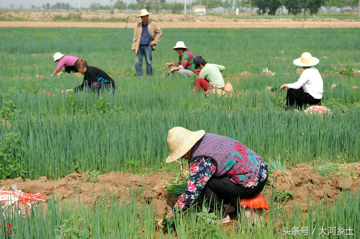 郑州黄河滩地最新出租,科技助力,接轨未来生活