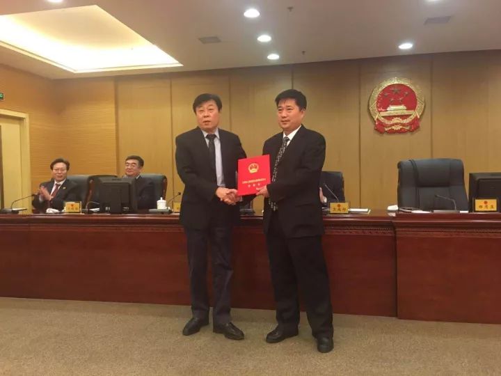 宝丰县最新官员任免，解读与观点分析