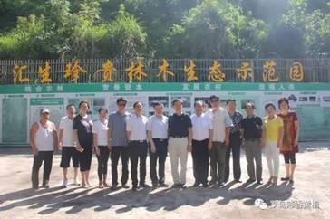 贵州汇生林业最新动态及相关论述概述