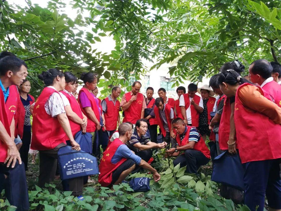 贵州汇生林业最新动态及相关论述概述