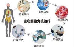 最新免疫，时代的进步与未来的希望展望