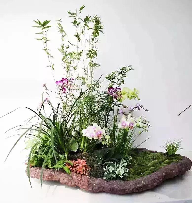 最新花卉时尚花艺潮流与种植技巧探索