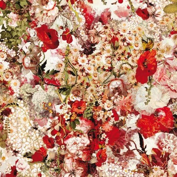 最新花卉时尚花艺潮流与种植技巧探索