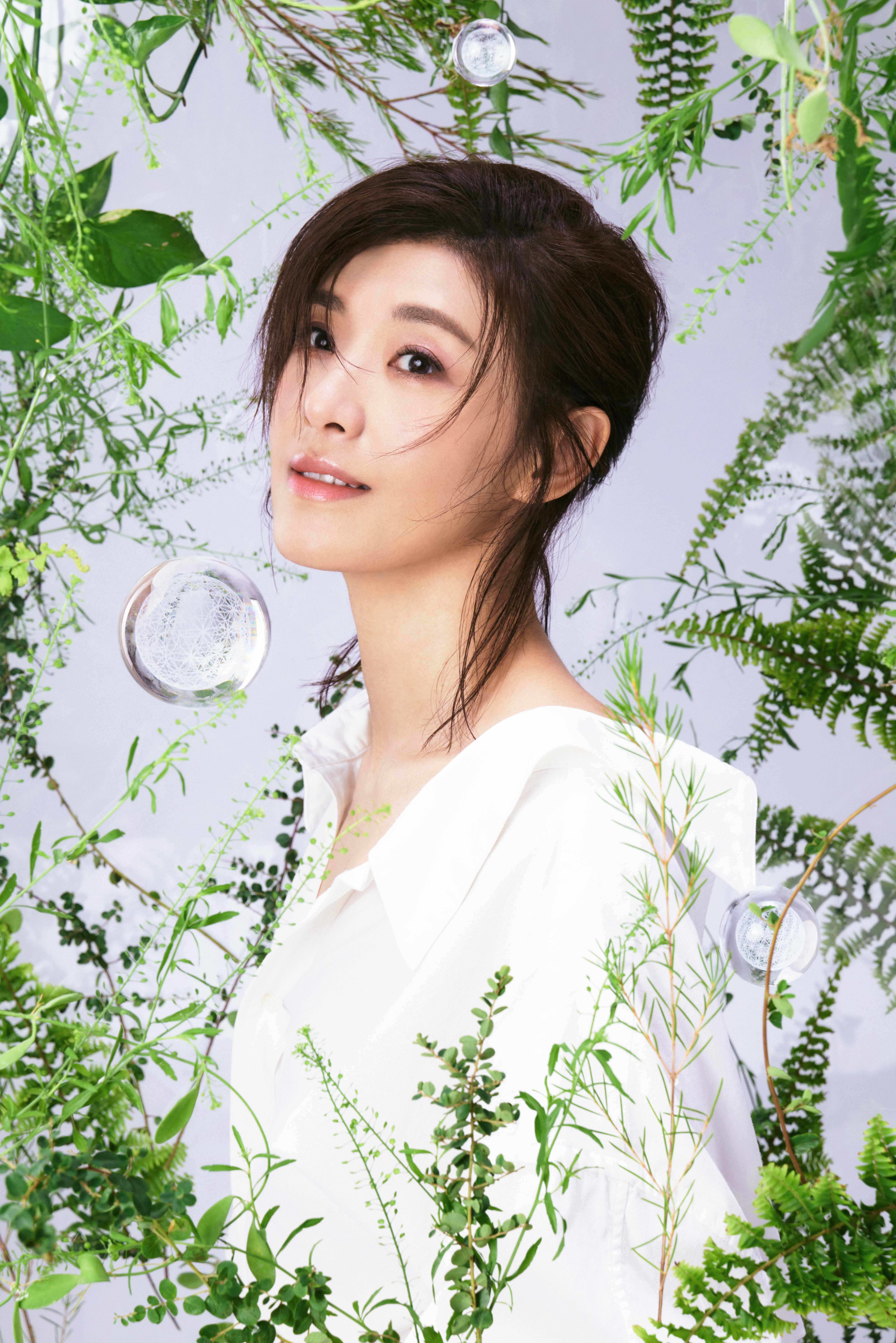 苏慧伦最新动态曝光,聚焦三大要点揭秘其最新情况