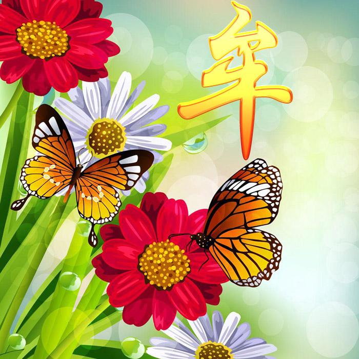 探索蝴蝶世界的最新时尚变迁