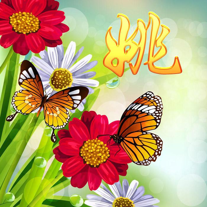 探索蝴蝶世界的最新时尚变迁