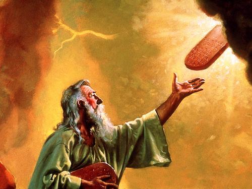 摩西最新探索,自然美景的轻松之旅