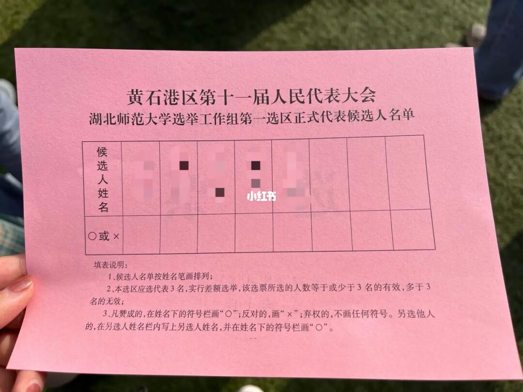 选票最新动态，掌握未来趋势的关键所在！