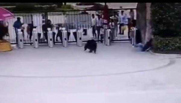 阳阳拥抱变化,学习成就自信之源