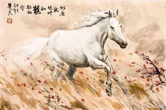 太岁最新进化之旅,自信与成就感的源泉