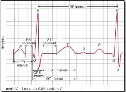 心电图最新资讯,小巷深处的医学宝藏