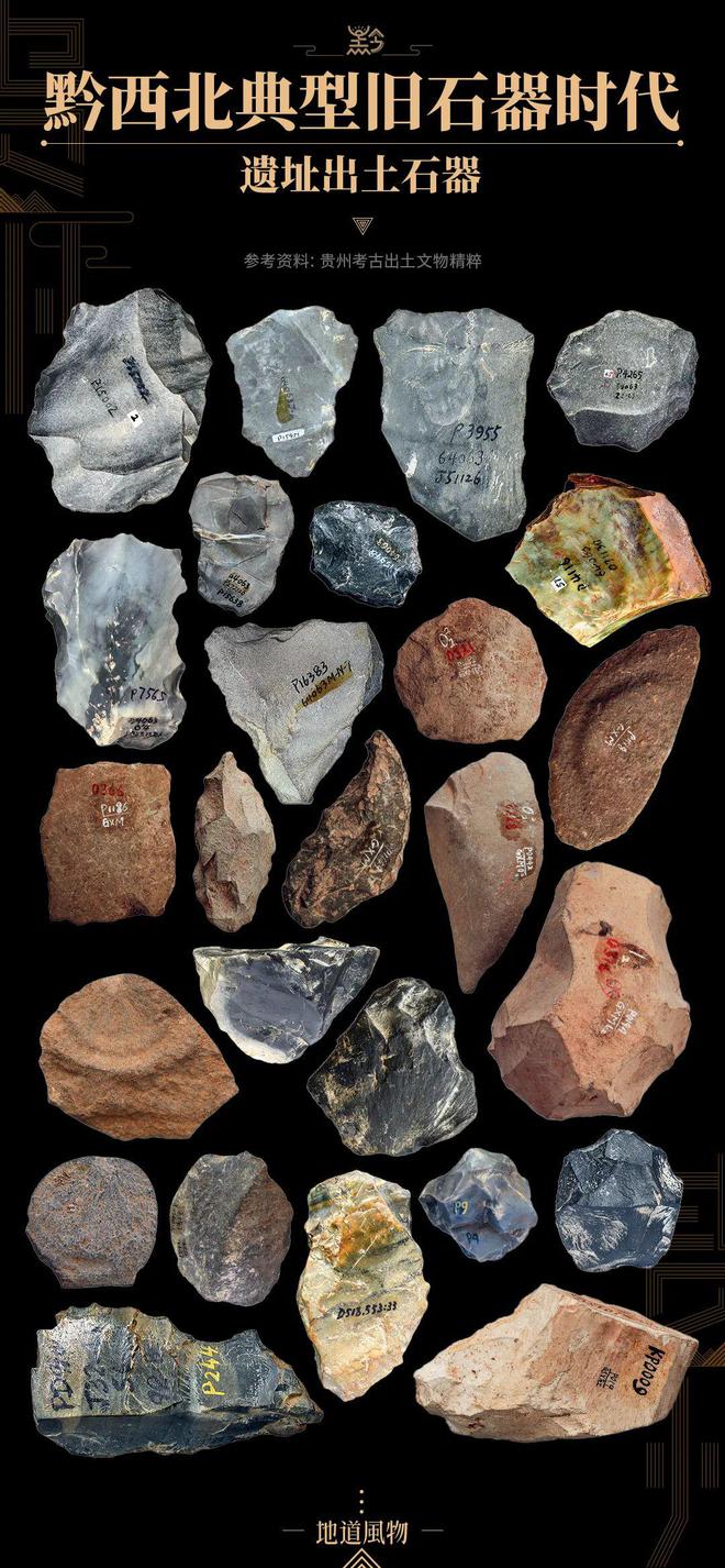 远古世界揭秘,最新考古化石探寻之旅