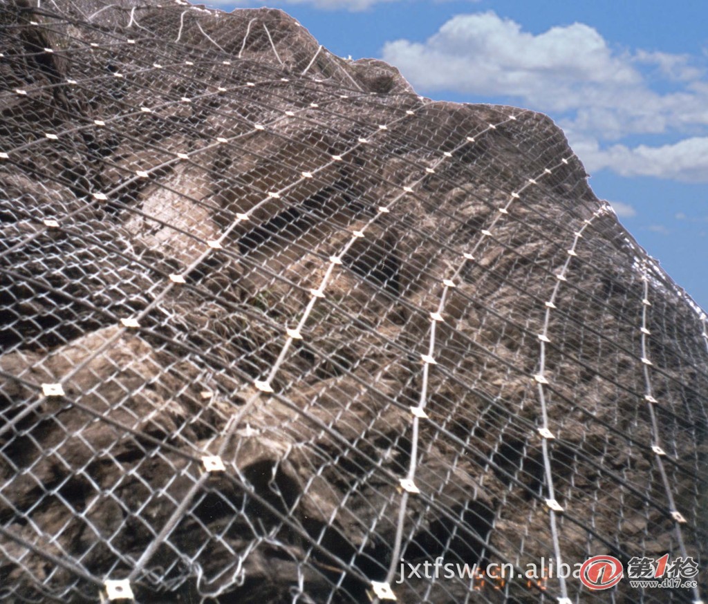 探索网络世界巨变,最新大型网发展动态解析