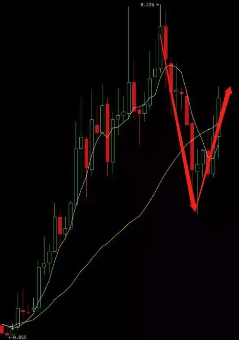 比特儿最新官网使用指南,初学者与进阶用户的必备指南