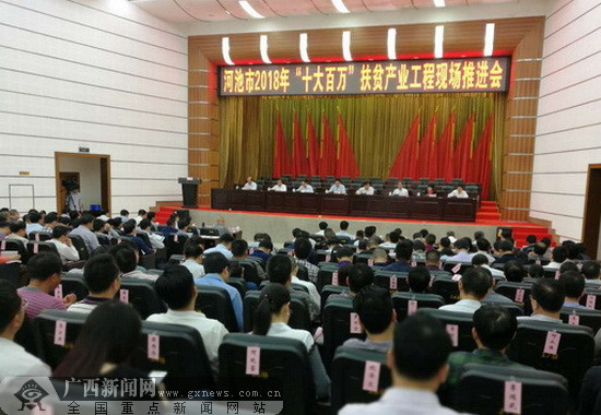 河池市最新新闻报道汇总