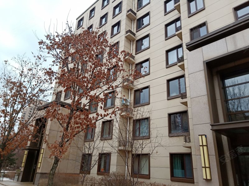 伟峰东樾,城市新地标的多维解读与最新动态