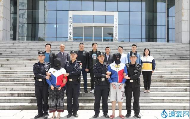 麻城公安网最新动态,聚焦警务创新,共建平安麻城
