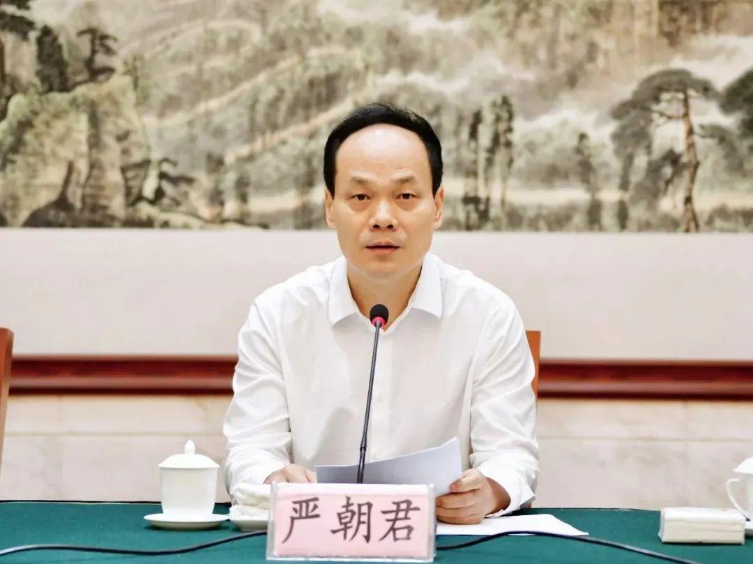 严朝君最新职务揭秘，各方观点与深度解析