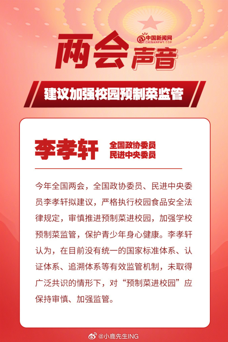 最新政协建议详解,从提交到实现,初学者与进阶用户的指南