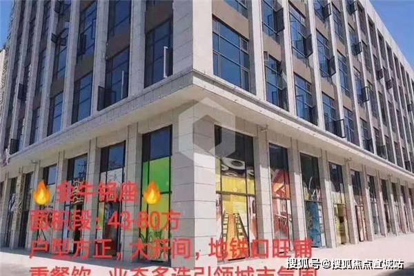 金牛最新动态,掌握投资金牛股票的全面步骤指南