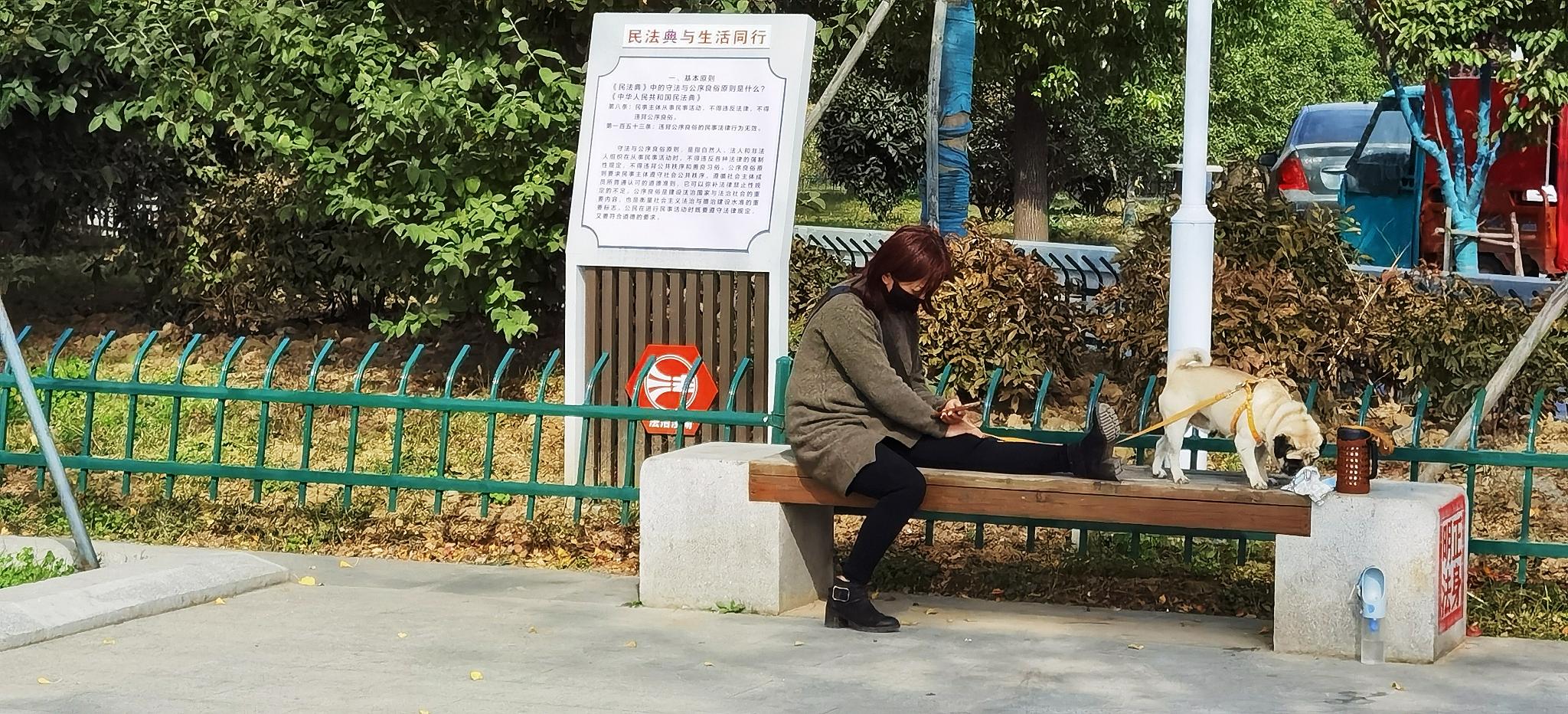 书法家最新仙迹,与自然美景的浪漫邂逅