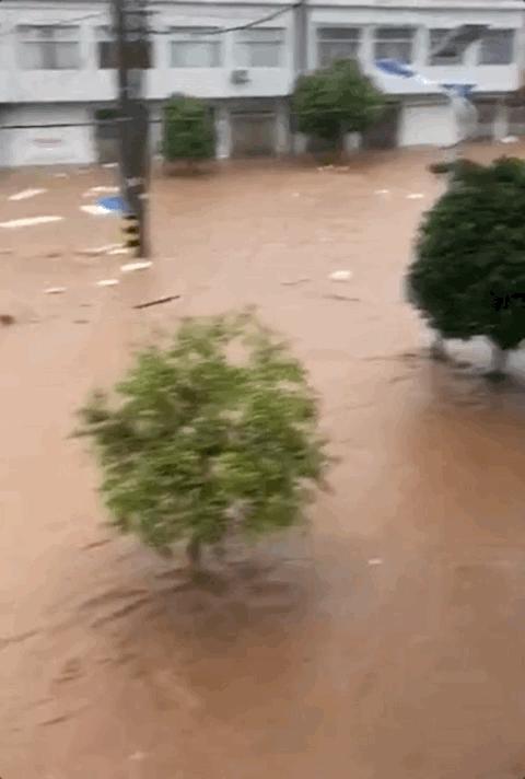 暴雨伤亡最新深度解析与报告