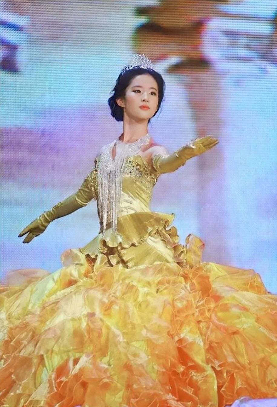 金鹰女神最新视频,爱与陪伴的日常趣事展现