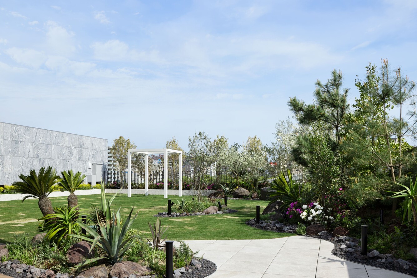 科技引领未来,全新智能花园产品上线,花园最新消息揭秘