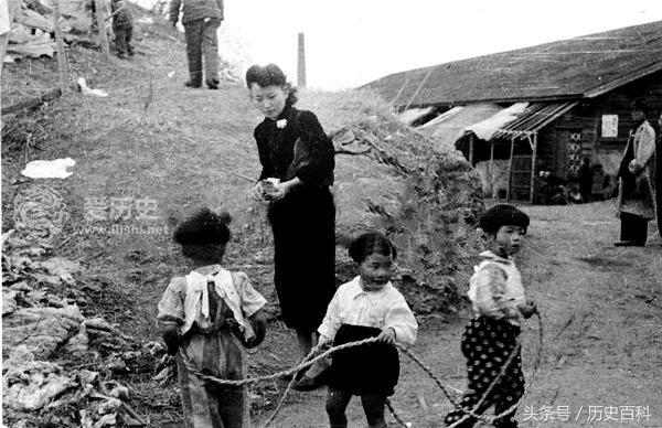 最新蔬菜集中营,农业模式的兴起与挑战