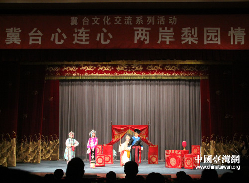 裴艳玲最新动态,小巷深处的独特风情探秘