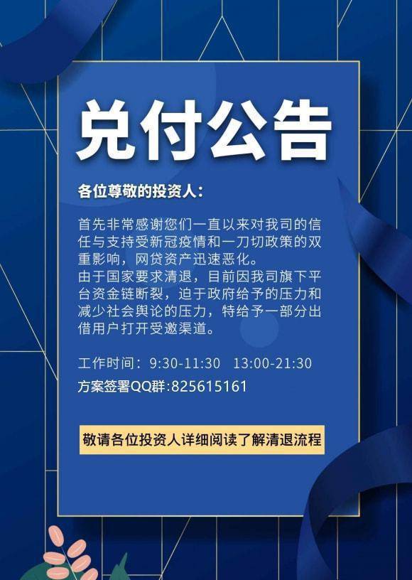 旺财猫最新动态揭秘,日常趣事与最新进展